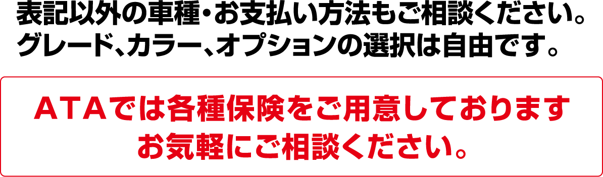 表記以外の車種・お支払い方法もご相談ください。